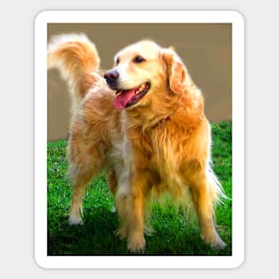 Golden Retriever Happy Dog Sticker